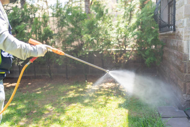 Best Seasonal Pest Control  in Boyce, LA